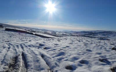 Trying out some of the walks for later this year in North Yorkshire