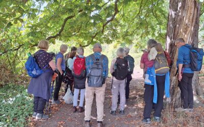 A walk around Whitford and the Pennant and Mostyn families.